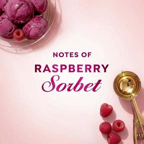 Dove Ice Cream Parlour Limited Edition - Raspberry Sorbet
