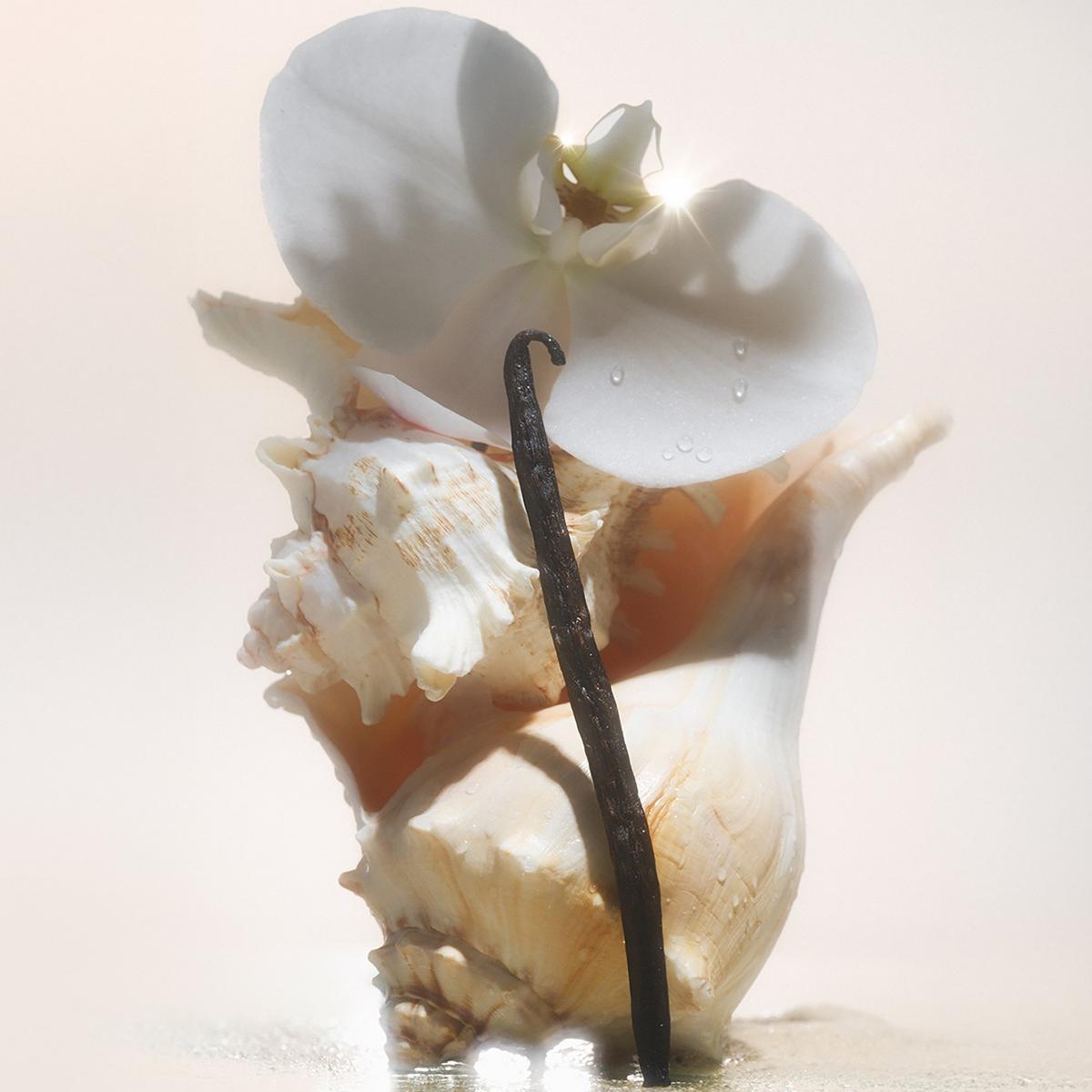Saltair Body Oil - Salt Water Vanilla