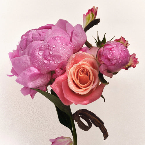 Athena Club Hair & Body Mist - Petal Bloom