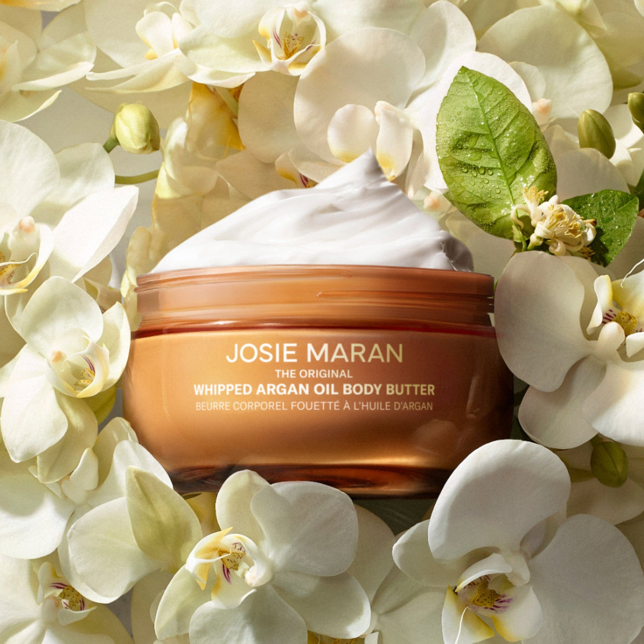 Josie Maran Whipped Argan Oil Body Butter - Vanilla Vibezzz