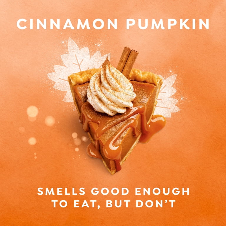 Dove Body Wash - Cinnamon Pumpkin