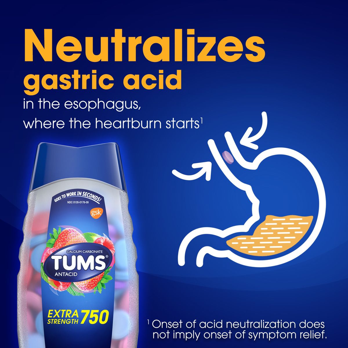 TUMS Extra Strength Antacid Chewable Tablets - Assorted Berries